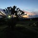 Tous les soirs la magie du soleil couchantLocation de villa Marie Galante - La Maison Casa Blue - Guadeloupe