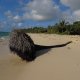 Location de villa Marie Galante - La Maison Casa Blue - Guadeloupe