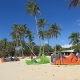 Kite Surf sur la plage de la  Feuillère - Marie Galante GuadeloupeLocation de villa Marie Galante - La Maison Casa Blue - Guadeloupe