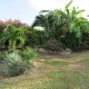 Le jardinLocation de villa Marie Galante - La Maison Casa Blue - Guadeloupe